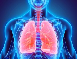 RESPIRATORY-