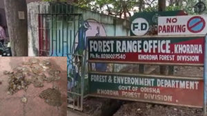 PicsArt_11-17-03.12.35