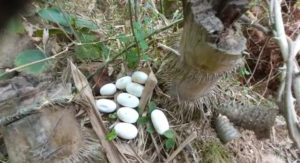 WhatsApp Image 2022-05-11 at 11.41.20 AM