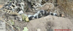 fe084cdc-c85a-4ea8-b081-6bd7ba423028 (1)