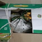 WhatsApp Image 2025-11-16 at 11.54.27_bbdad4fa