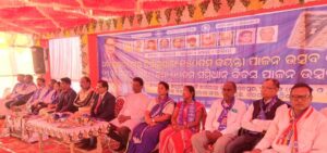 WhatsApp Image 2025-12-01 at 11.51.34_231a2527